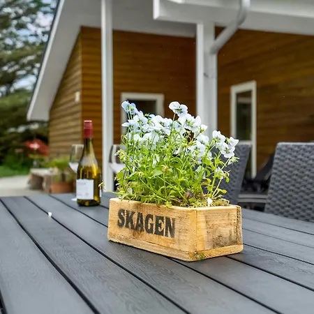 Cozy In With Kitchen * Aalbaek